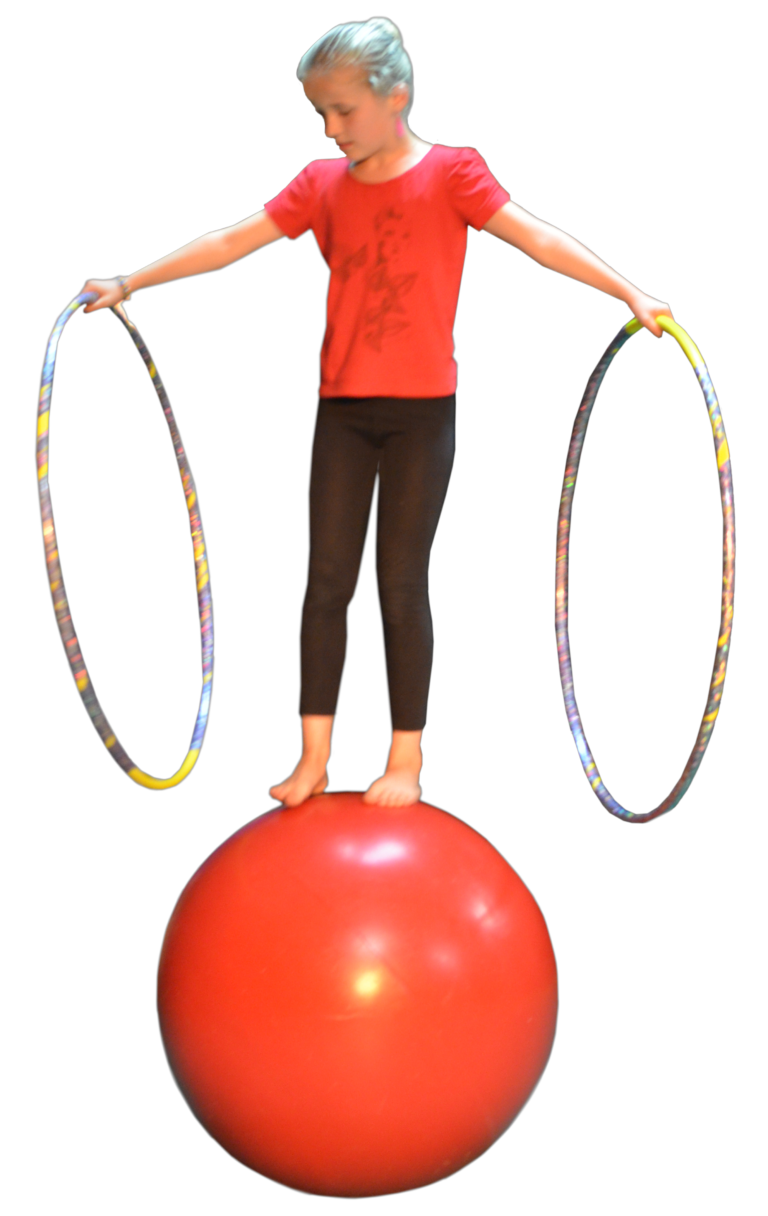 Ecole des Arts du Cirque Cours et Stage Shoshin Vannes, Morbihan